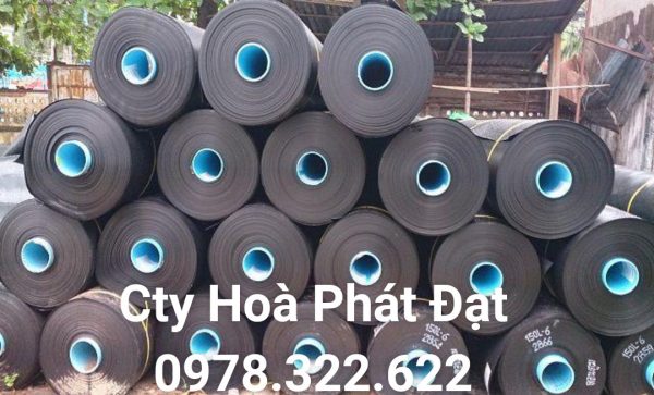 Địa chỉ cung cấp và thi công vải bạt chống thấm nước tại TP Điện Biên, bán màng chống thấm HDPE lót ao hồ tại TP Điện Biên chính hãng giá rẻ