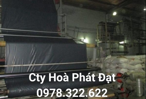 Địa chỉ cung cấp và thi công vải bạt chống thấm nước tại TP Lai Châu, bán màng chống thấm HDPE lót ao hồ tại TP Lai Châu chính hãng giá rẻ