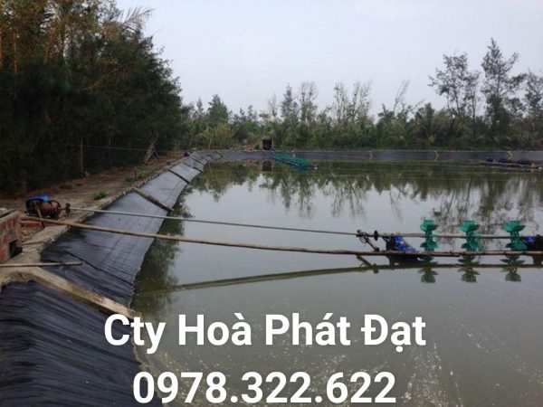 Địa chỉ cung cấp và thi công vải bạt chống thấm nước tại TP Lạng Sơn, bán màng chống thấm HDPE lót ao hồ tại TP Lạng Sơn chính hãng giá rẻ