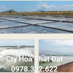 Địa chỉ cung cấp và thi công vải bạt chống thấm nước tại TP Cà Mau, bán màng chống thấm HDPE lót ao hồ tại TP Cà Mau chính hãng giá rẻ