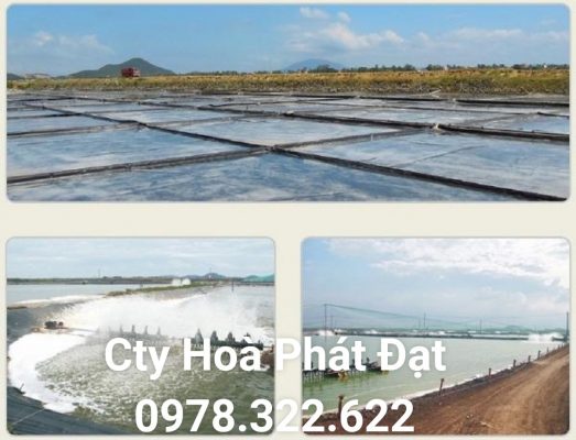 Địa chỉ cung cấp và thi công vải bạt chống thấm nước tại TP Tân An Long An, bán màng chống thấm HDPE lót ao hồ tại TP Tân An Long An chính hãng giá rẻ 