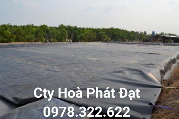 Địa chỉ cung cấp và thi công vải bạt chống thấm nước tại TP Buôn Ma Thuột Đắk Lắk, bán màng chống thấm HDPE lót ao hồ tại TP Buôn Ma Thuột Đắk Lắk chính hãng giá rẻ 