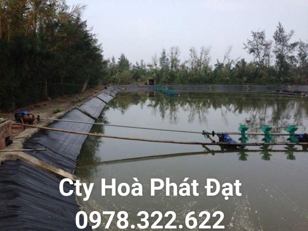 Địa chỉ cung cấp và thi công vải bạt chống thấm nước tại TP Đồng Hới Quảng Bình, bán màng chống thấm HDPE lót ao hồ tại TP Đồng Hới Quảng Bình chính hãng giá rẻ