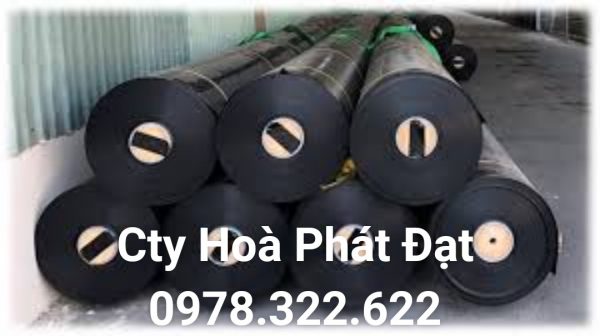 Địa chỉ cung cấp và thi công vải bạt chống thấm nước tại TP Thanh Hoá, bán màng chống thấm HDPE lót ao hồ tại TP Thanh Hoá chính hãng giá rẻ